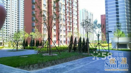 专业服务铸就信赖 走近北京鑫意伟业房地产经纪毕春燕的房源店铺